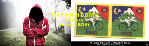 ГАЛЛЮЦИНОГЕННЫЕ ГРИБЫ Алексеевка