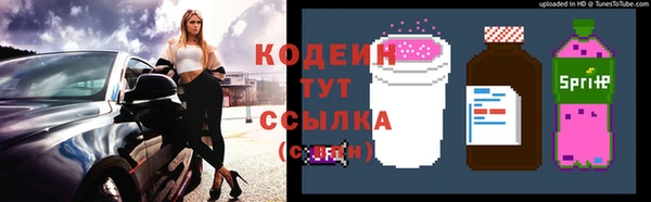 хмурый Пестово