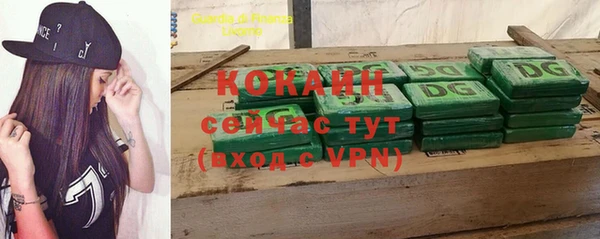 спайс Алзамай